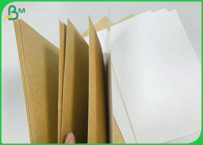 CCKB Board 250g 300g Clay Coated Kraft Back Paper Board with FSC Approved CCKB Board 250g 300g Clay Coated Kraft Back Paper Board with FSC Approved