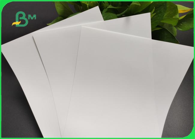 Seamless 240gsm 260gsm White Photography Paper For Advertisement Instant Dry
