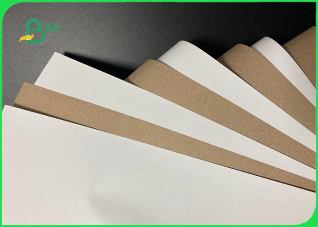 Greaseproof Food Grade White Coated Kraft Back Paper For Food Packaging Greaseproof Food Grade White Coated Kraft Back Paper For Food Packaging