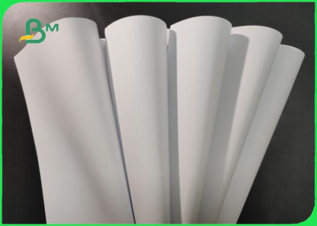 FSC Approved 55g 70g 80g White Woodfree Paper Roll For Brochure Smooth