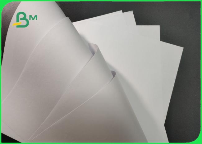 FSC Approved 55g 70g 80g White Woodfree Paper Roll For Brochure Smooth