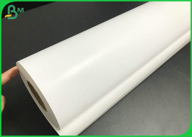 200gsm 260gsm One Side Luster Pigment Ink Jet Photo Paper Roll With RC Coated 200gsm 260gsm One Side Luster Pigment Ink Jet Photo Paper Roll With RC Coated