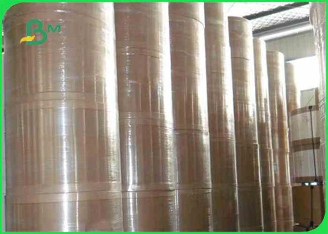 300gram + 15g Single PE coated Food Grade Paper For Lunch Boxes Greaseproof 300gram + 15g Single PE coated Food Grade Paper For Lunch Boxes Greaseproof