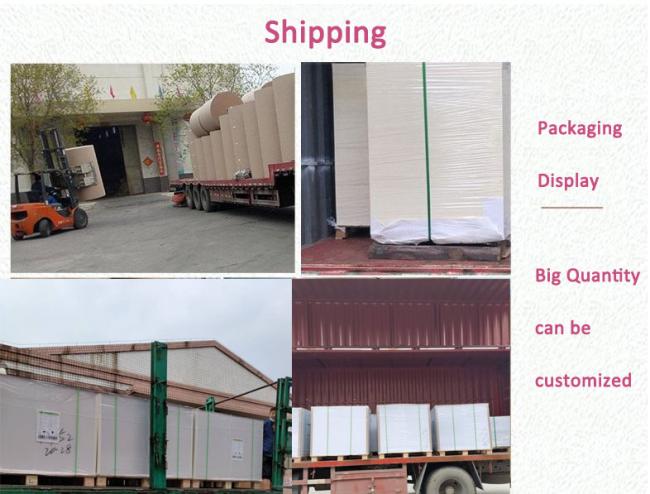 High Bulking 100% Wood Pulp Cupstock Based Paper 170 - 210 GSM Food Grade High Bulking 100% Wood Pulp Cupstock Based Paper 170 - 210 GSM Food Grade