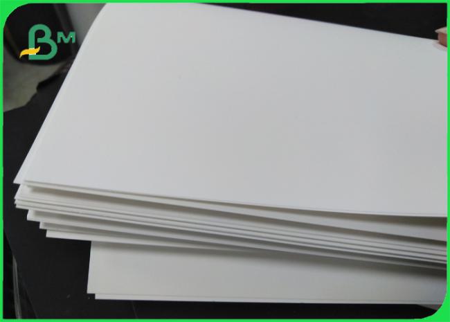 PET Synthetic paper PET Synthetic paper