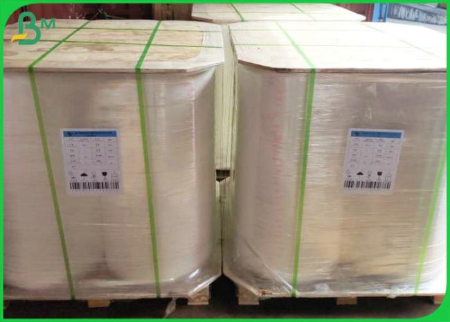 Natural White Tracing Paper 50gram 63gram Plotter Printing Rolls 620mm * 80M Natural White Tracing Paper 50gram 63gram Plotter Printing Rolls 620mm * 80M