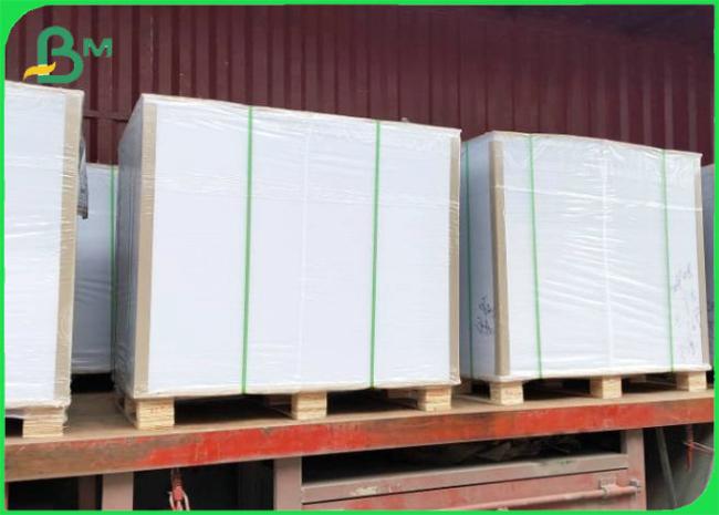 EU Approved Printable Good Toughness PE Coating Ivory Board For Making Lunch Box EU Approved Printable Good Toughness PE Coating Ivory Board For Making Lunch Box