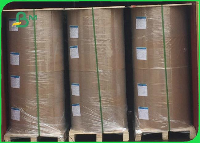 300gsm Clay Coated Kraft Back Paper For Takeway Food Containers 79 x 109cm 300gsm Clay Coated Kraft Back Paper For Takeway Food Containers 79 x 109cm