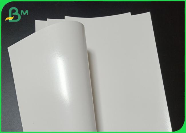 230gsm + 15g PE Coated Food Grade White Kraft Paper Roll For Ice Cream Cup 230gsm + 15g PE Coated Food Grade White Kraft Paper Roll For Ice Cream Cup
