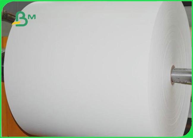 Compostable Cupstock PE Coated Paper For Beverage 100% OBA free 79 * 109cm Compostable Cupstock PE Coated Paper For Beverage 100% OBA free 79 * 109cm