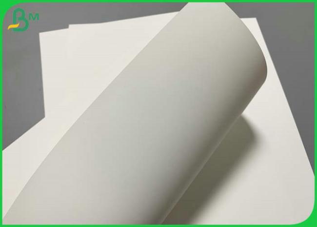 Both Sides Printable Laser Printing A3 Size PET Synthetic Paper For Outdoor Ads Both Sides Printable Laser Printing A3 Size PET Synthetic Paper For Outdoor Ads