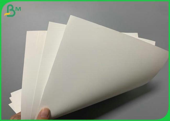Both Sides Printable Laser Printing A3 Size PET Synthetic Paper For Outdoor Ads Both Sides Printable Laser Printing A3 Size PET Synthetic Paper For Outdoor Ads