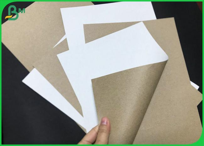 Recyclable 140gsm 170gsm White Clay Coated Kraft Back Board For Paper Cup Holder Recyclable 140gsm 170gsm White Clay Coated Kraft Back Board For Paper Cup Holder