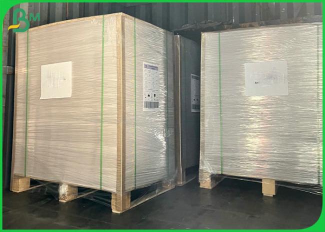 Recyclable 140gsm 170gsm White Clay Coated Kraft Back Board For Paper Cup Holder Recyclable 140gsm 170gsm White Clay Coated Kraft Back Board For Paper Cup Holder