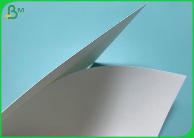 790mm Width 185gsm 235gsm PE Coated Cup Paper For Hot Coffee Cups 790mm Width 185gsm 235gsm PE Coated Cup Paper For Hot Coffee Cups