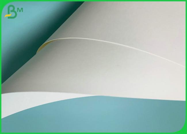 790mm Width 185gsm 235gsm PE Coated Cup Paper For Hot Coffee Cups 790mm Width 185gsm 235gsm PE Coated Cup Paper For Hot Coffee Cups