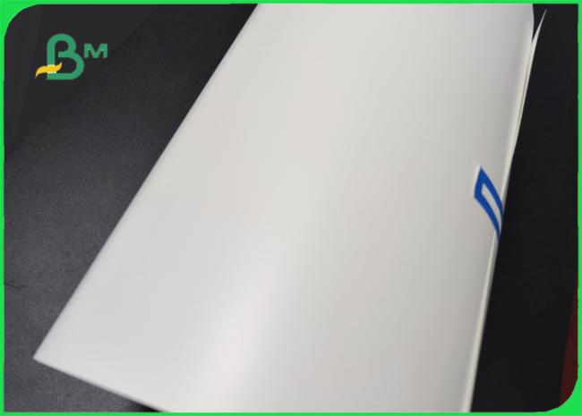 130um Thermal Synthetic Paper For Logistics Label 210mm * 2000m Waterproof 130um Thermal Synthetic Paper For Logistics Label 210mm * 2000m Waterproof