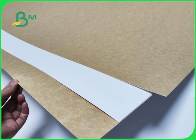 Food Grade 250gr CKB Kraft Board For Pharmaceutical Package 60 X 86 cm Food Grade 250gr CKB Kraft Board For Pharmaceutical Package 60 X 86 cm