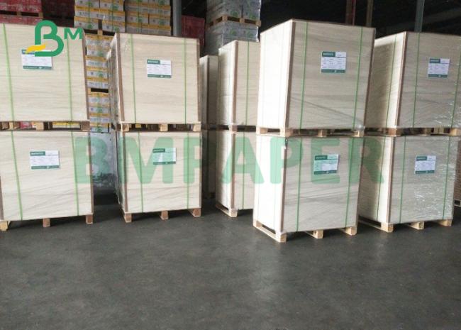 260gsm + 18g PE Coated Cupstock Paper For Hot Drinks 600mm 650mm High Bulk 260gsm + 18g PE Coated Cupstock Paper For Hot Drinks 600mm 650mm High Bulk