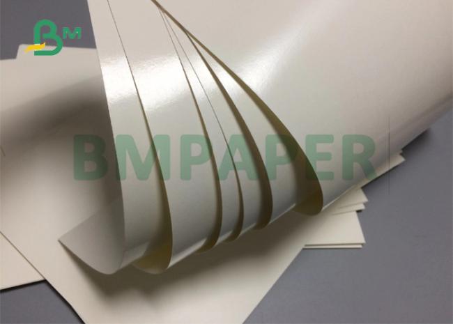 300gsm 350gsm Food Grade 1 Side PE Coated Paper Board For Disposable Paper Bowl 300gsm 350gsm Food Grade 1 Side PE Coated Paper Board For Disposable Paper Bowl
