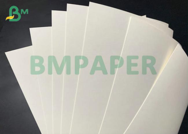 768mm 250gsm High Stiffness Wood Pulp PE Coated Cup Paper For Coffee Cup 768mm 250gsm High Stiffness Wood Pulp PE Coated Cup Paper For Coffee Cup