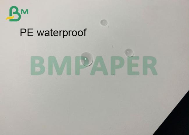 1107mm 15gsm PE Coated 280gsm 300gsm Cup Paper For Drinks Paper Cup 1107mm 15gsm PE Coated 280gsm 300gsm Cup Paper For Drinks Paper Cup