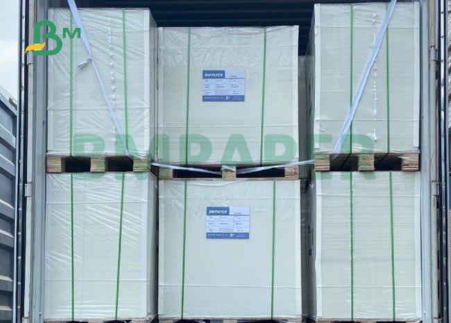 230g + 15g PE Laminated Cardboard For Paper Cups 720mm 882mm Waterproof 230g + 15g PE Laminated Cardboard For Paper Cups 720mm 882mm Waterproof