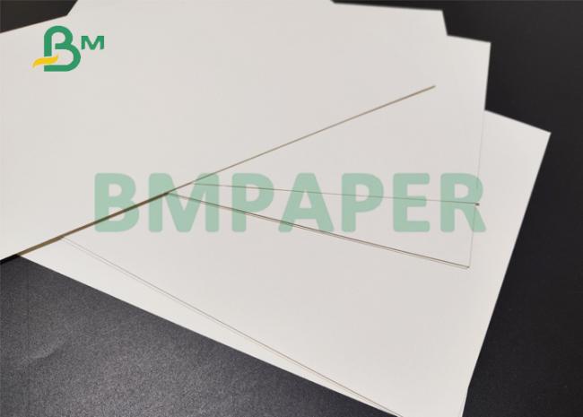 190gsm +15g PE Paper Cup Bottom Roll For Coffee Shop 2.95inches Waterproof 190gsm +15g PE Paper Cup Bottom Roll For Coffee Shop 2.95inches Waterproof