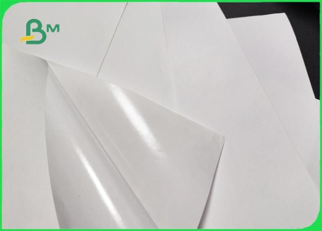 55gsm 58gsm Thermal Paper Jumbo Roll For Blank Stickers 640mm 795mm 55gsm 58gsm Thermal Paper Jumbo Roll For Blank Stickers 640mm 795mm