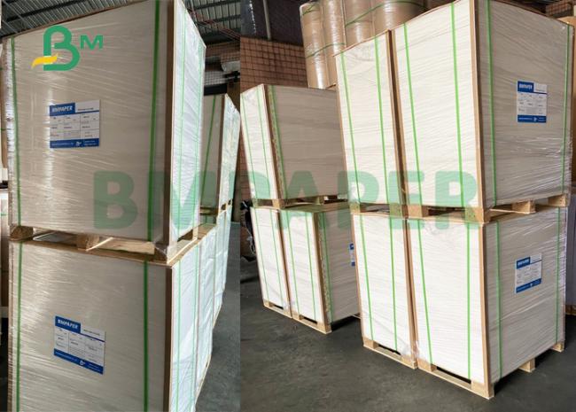 210+15g PE Coated Cup Paper For Coffee Shop 700mm 900mm Good Brightness 210+15g PE Coated Cup Paper For Coffee Shop 700mm 900mm Good Brightness