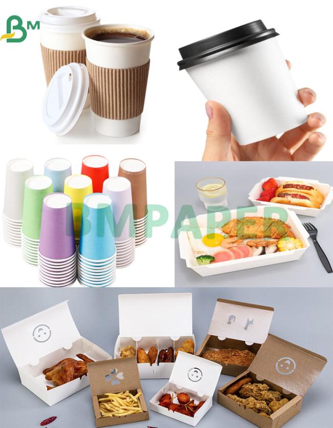Cup Bowl Paper Cup Bowl Paper