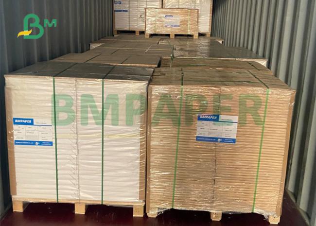 240GSM + 2PE 18GSM Coated Paper For Salad Bowl 97mm 110mm Waterproof 240GSM + 2PE 18GSM Coated Paper For Salad Bowl 97mm 110mm Waterproof