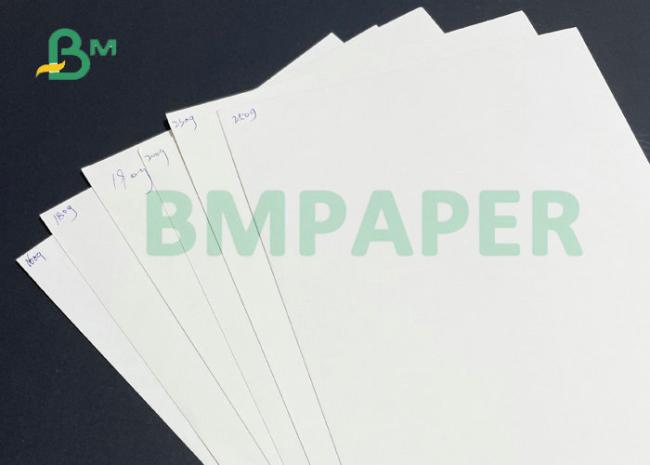 Food Grade 200gsm + 15gPE P1S Cup Paper 780MM 882MM Width In Reel Food Grade 200gsm + 15gPE P1S Cup Paper 780MM 882MM Width In Reel