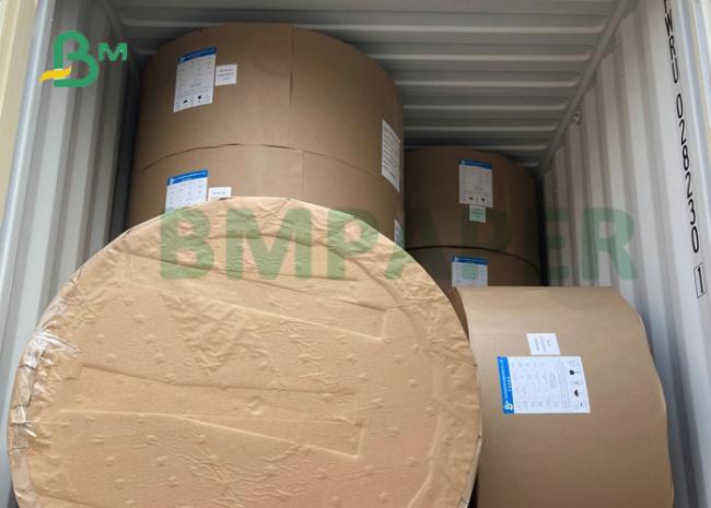 Food Grade 200gsm + 15gPE P1S Cup Paper 780MM 882MM Width In Reel Food Grade 200gsm + 15gPE P1S Cup Paper 780MM 882MM Width In Reel