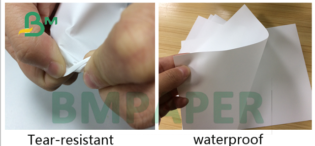 80gsm 100gsm Waterproof 2 side Stone Paper Sheet For Fruite Package 30x40cm 80gsm 100gsm Waterproof 2 side Stone Paper Sheet For Fruite Package 30x40cm