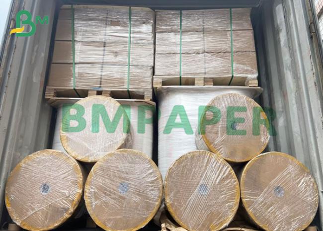 19mm MG craft paper 19mm MG craft paper