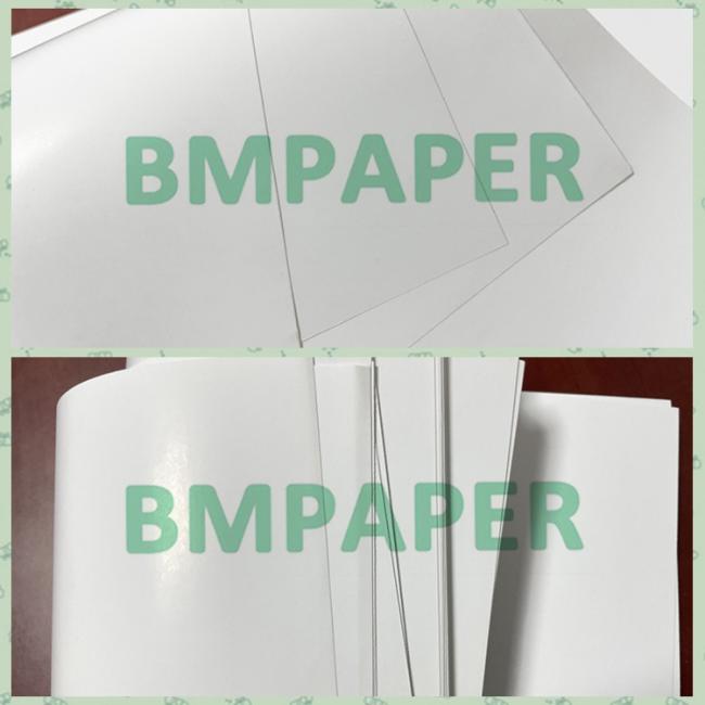 80 - 300g High Opacity White Glossy Coated Paper for B2B Businesses 80 - 300g High Opacity White Glossy Coated Paper for B2B Businesses