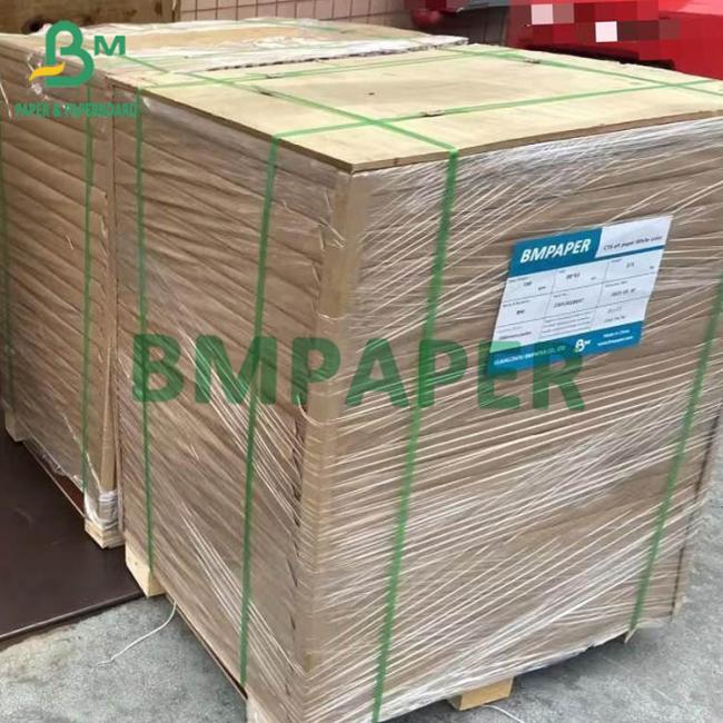 GC2 Coated Ivory Paper High Bulk White Folding Revers Wood Board 70 X 100cm GC2 Coated Ivory Paper High Bulk White Folding Revers Wood Board 70 X 100cm