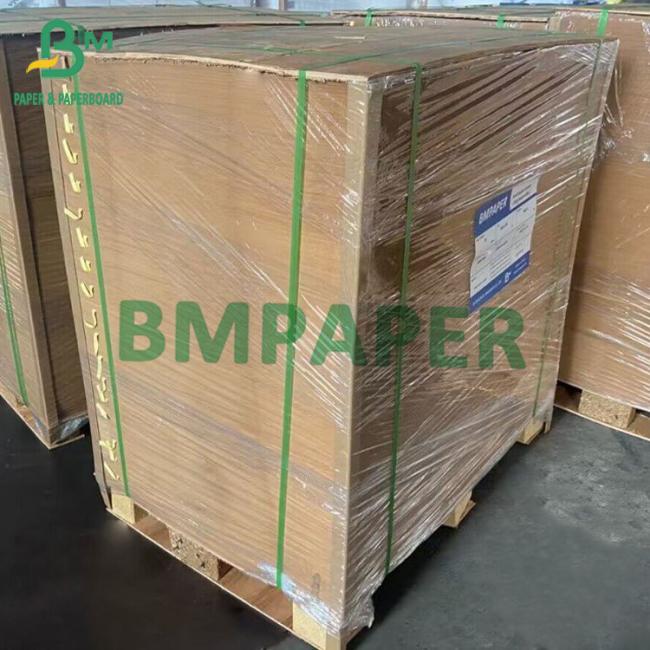 Biodegradable Kraft Cup Paper Biodegradable Kraft Cup Paper