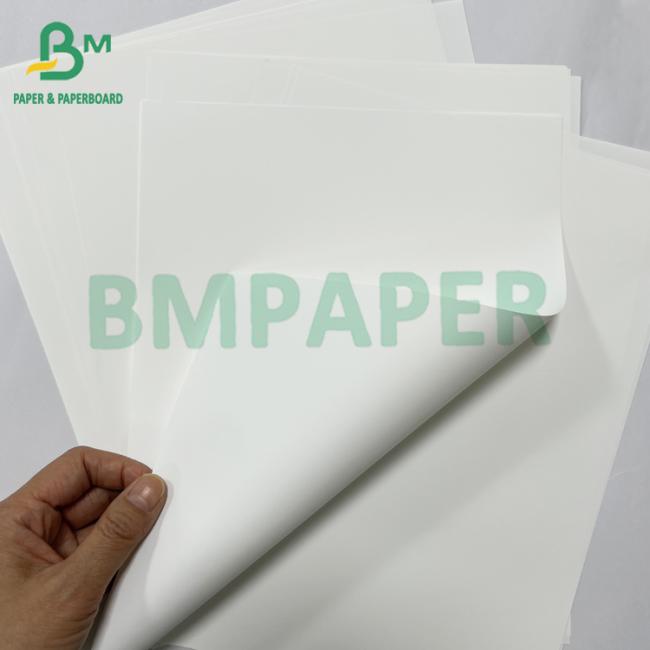 135 micron Sticker Label Printing Waterproof Synthetic Paper Roll 135 micron Sticker Label Printing Waterproof Synthetic Paper Roll