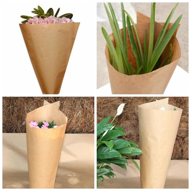 Wet Strength Brown Kraft Paper Roll 65gsm - 120gsm For Plant Protection Sleeves Wet Strength Brown Kraft Paper Roll 65gsm - 120gsm For Plant Protection Sleeves