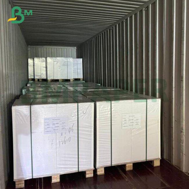 C2S Gloss Matte Paper 120gsm 148gsm 200gsm 250gsm 27"x39" For Journals Printing C2S Gloss Matte Paper 120gsm 148gsm 200gsm 250gsm 27"x39" For Journals Printing