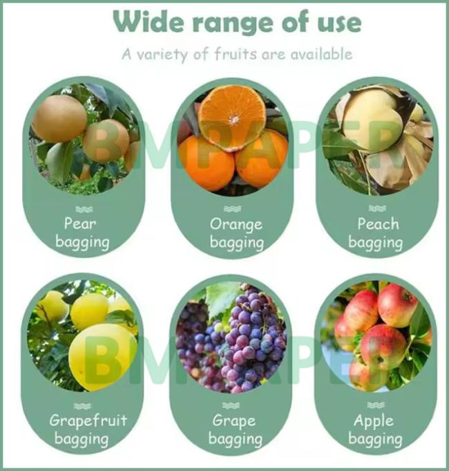56gsm Waterproof Fruit Growing Protection Mango Wrapping Cover Paper 28 x 38cm 56gsm Waterproof Fruit Growing Protection Mango Wrapping Cover Paper 28 x 38cm