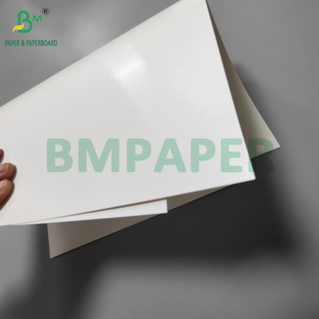 275g + 15g PE Coated Paperboard For Frozen Food Packaging Moisture Resistant 275g + 15g PE Coated Paperboard For Frozen Food Packaging Moisture Resistant