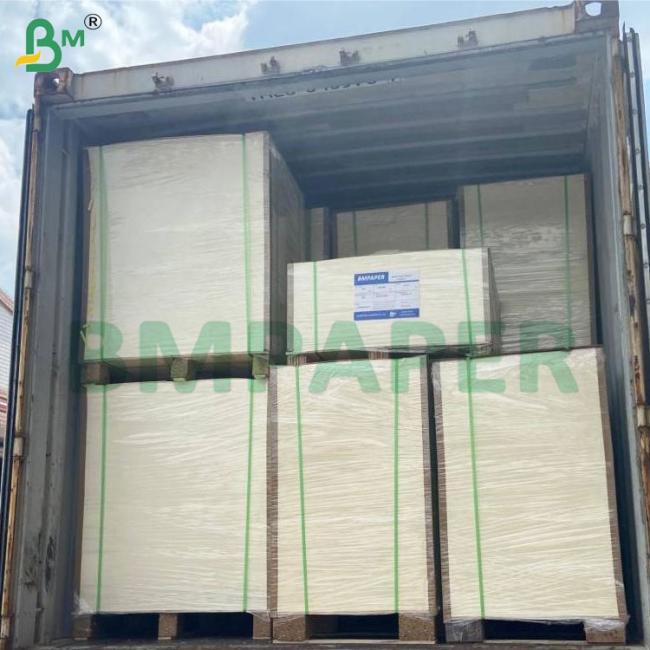 135-350 GSM Double Size PE Coated Waterproof Paper for Cup and Bowl 135-350 GSM Double Size PE Coated Waterproof Paper for Cup and Bowl
