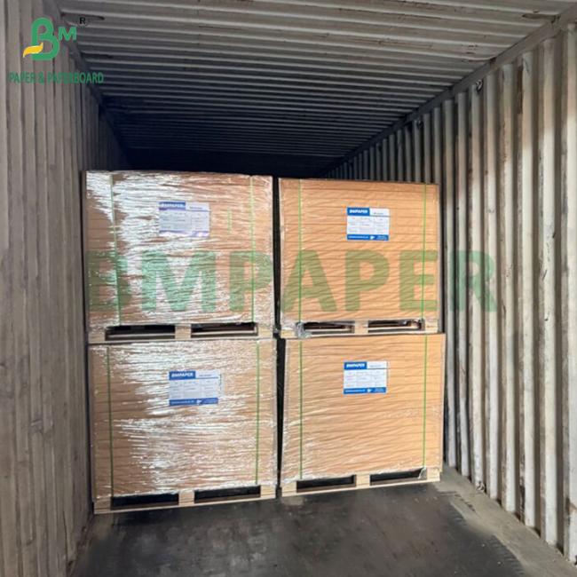 Food Grade Kraft 320gsm + 20g PE Coated Paper For Coffee Cup High Bulk 900mm Food Grade Kraft 320gsm + 20g PE Coated Paper For Coffee Cup High Bulk 900mm