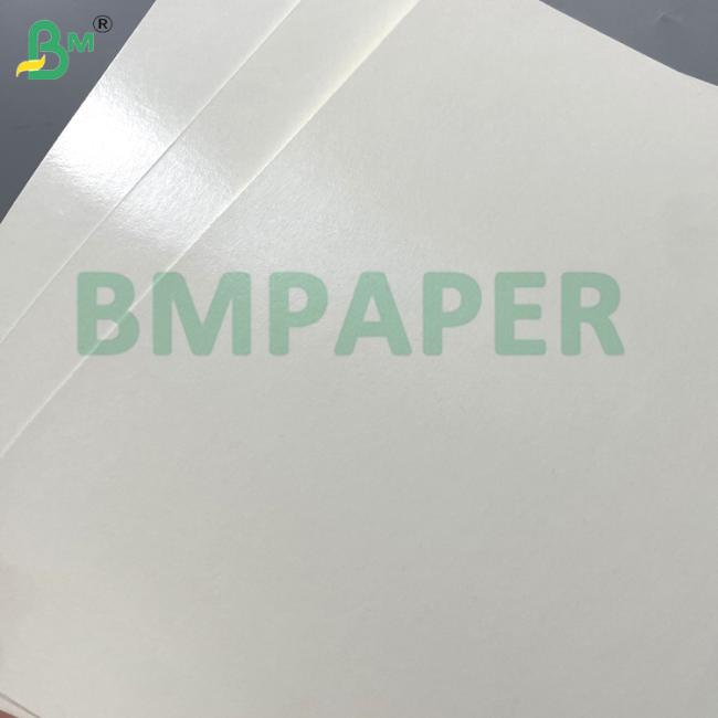 230gsm Waterproof Resistant Food - Grade Safety PET White Paper Board For Dinner Plate 230gsm Waterproof Resistant Food - Grade Safety PET White Paper Board For Dinner Plate