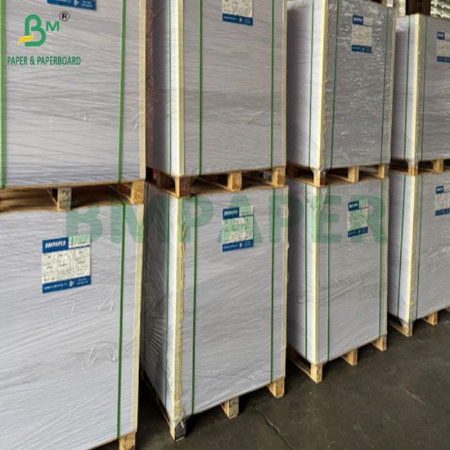 240gsm 260gsm White Printable Cupp1s Paper For Making Cups 700mm 800mm 240gsm 260gsm White Printable Cupp1s Paper For Making Cups 700mm 800mm