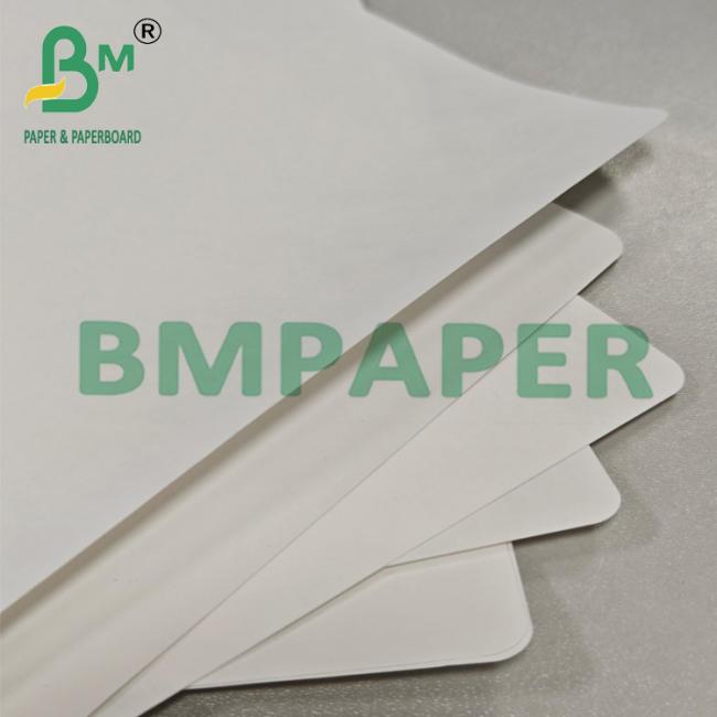 Disposable Heat Sealable 1059B Lid Material Paper For Medical Barrier Disposable Heat Sealable 1059B Lid Material Paper For Medical Barrier