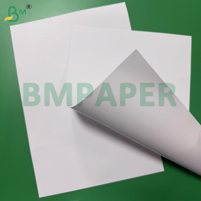 300gsm 110lb Premium Digital Coated Paper Gloss / Silk Cover Paper 300gsm 110lb Premium Digital Coated Paper Gloss / Silk Cover Paper